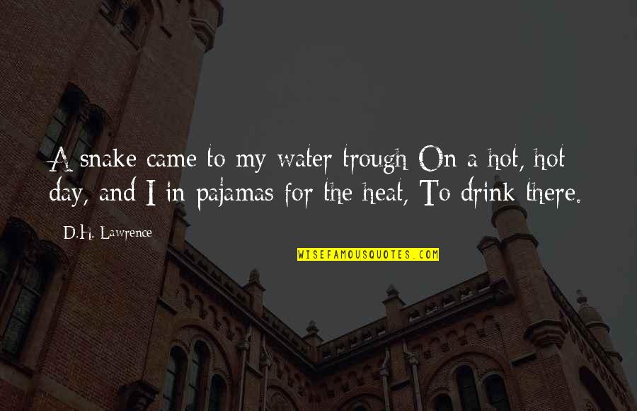 Giovanni Palestrina Quotes By D.H. Lawrence: A snake came to my water trough On