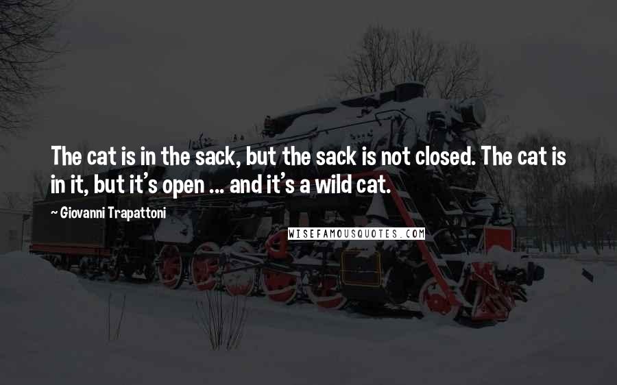 Giovanni Trapattoni quotes: The cat is in the sack, but the sack is not closed. The cat is in it, but it's open ... and it's a wild cat.