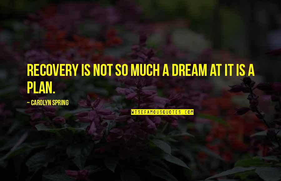Giovannino Senza Quotes By Carolyn Spring: Recovery is not so much a dream at