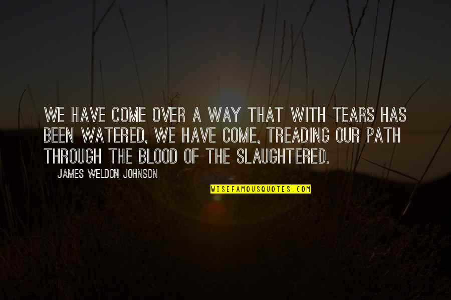 Giovannone Mafia Quotes By James Weldon Johnson: We have come over a way that with