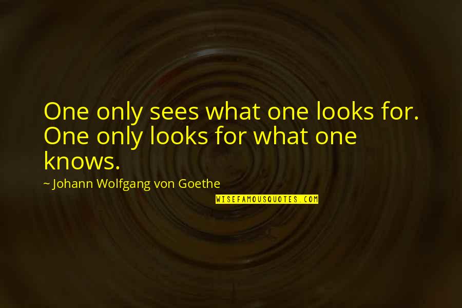 Giovichinni's Quotes By Johann Wolfgang Von Goethe: One only sees what one looks for. One