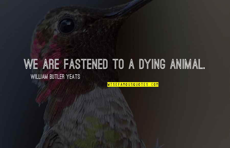 Giridharadas Quotes By William Butler Yeats: We are fastened to a dying animal. Giridharadas Quotes By William Butler Yeats: We are fastened to a dying animal.