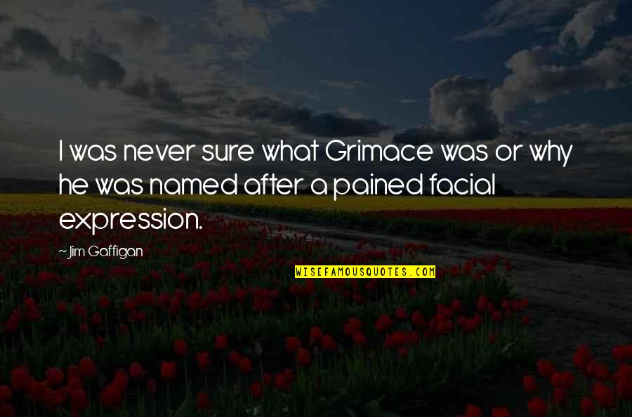 Girier Dufournier Quotes By Jim Gaffigan: I was never sure what Grimace was or Girier Dufournier Quotes By Jim Gaffigan: I was never sure what Grimace was or