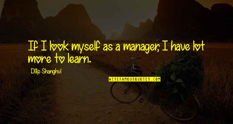 Girl And Her Horse Quotes By Dilip Shanghvi: If I look myself as a manager, I
