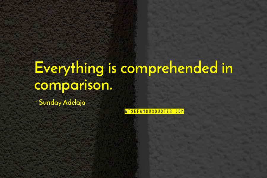 Girl Driving Me Crazy Quotes By Sunday Adelaja: Everything is comprehended in comparison.