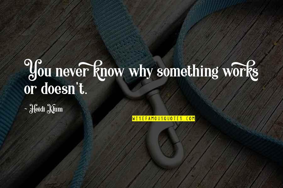 Girlfriend Cheating On You Quotes By Heidi Klum: You never know why something works or doesn't.