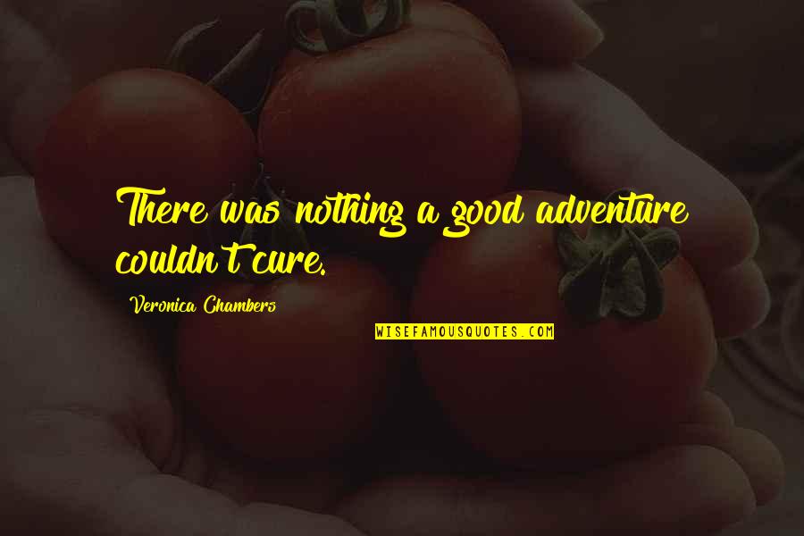 Girlfriend Cheating On You Quotes By Veronica Chambers: There was nothing a good adventure couldn't cure.