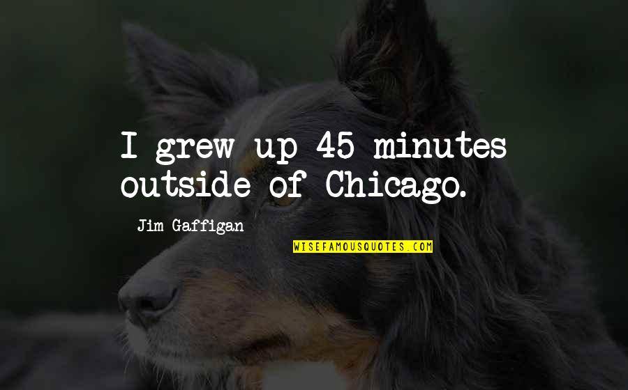 Girlfriends And Boyfriends In Love Quotes By Jim Gaffigan: I grew up 45 minutes outside of Chicago.