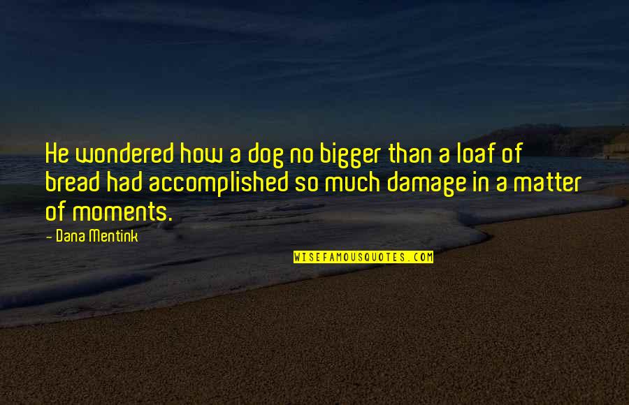 Girly Drinks Quotes By Dana Mentink: He wondered how a dog no bigger than