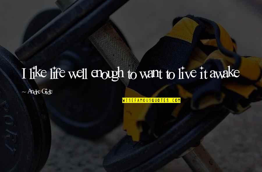 Girly Things Quotes By Andre Gide: I like life well enough to want to