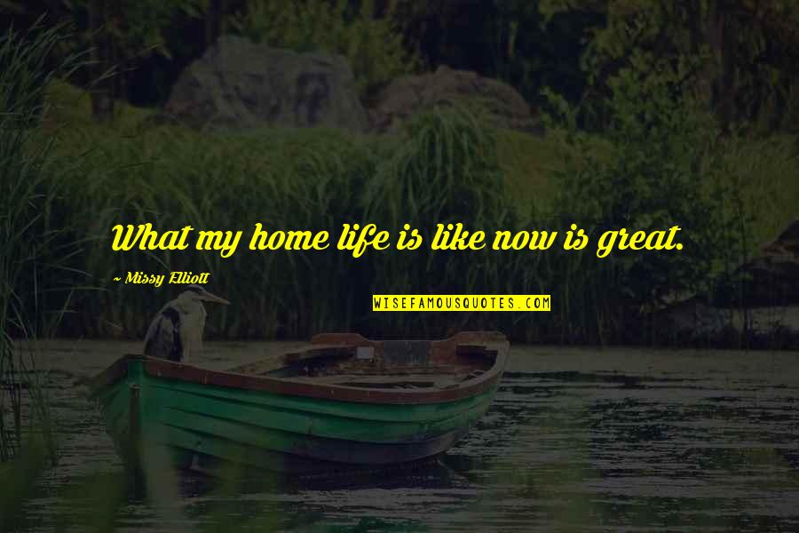 Girmi Yogurt Quotes By Missy Elliott: What my home life is like now is