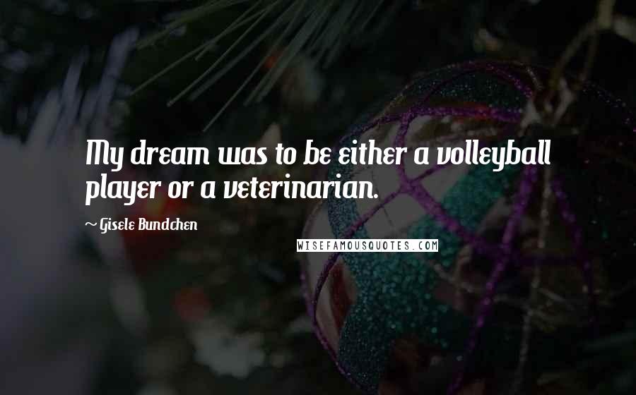 Gisele Bundchen quotes: My dream was to be either a volleyball player or a veterinarian.