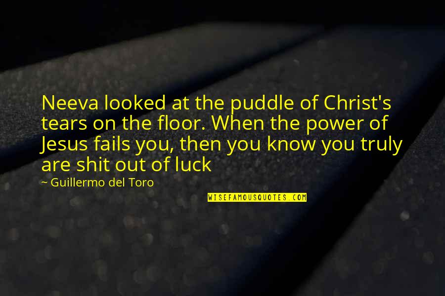 Giseles Twin Sister Quotes By Guillermo Del Toro: Neeva looked at the puddle of Christ's tears
