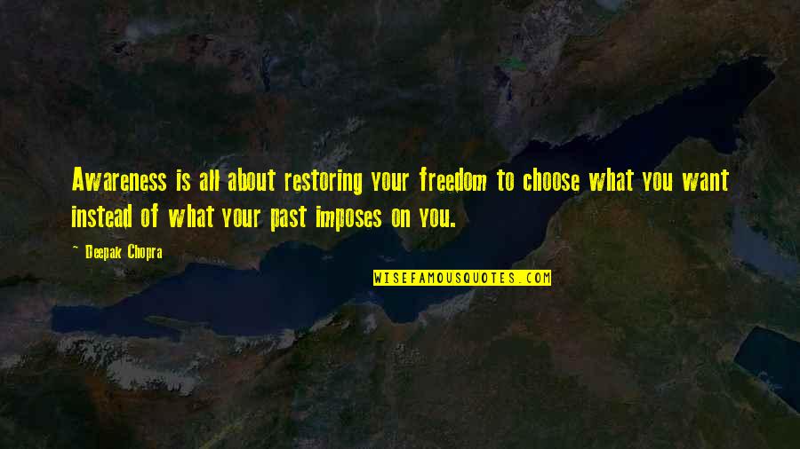 Gish Seiden Quotes By Deepak Chopra: Awareness is all about restoring your freedom to