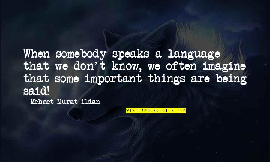 Gitau Njuguna Quotes By Mehmet Murat Ildan: When somebody speaks a language that we don't
