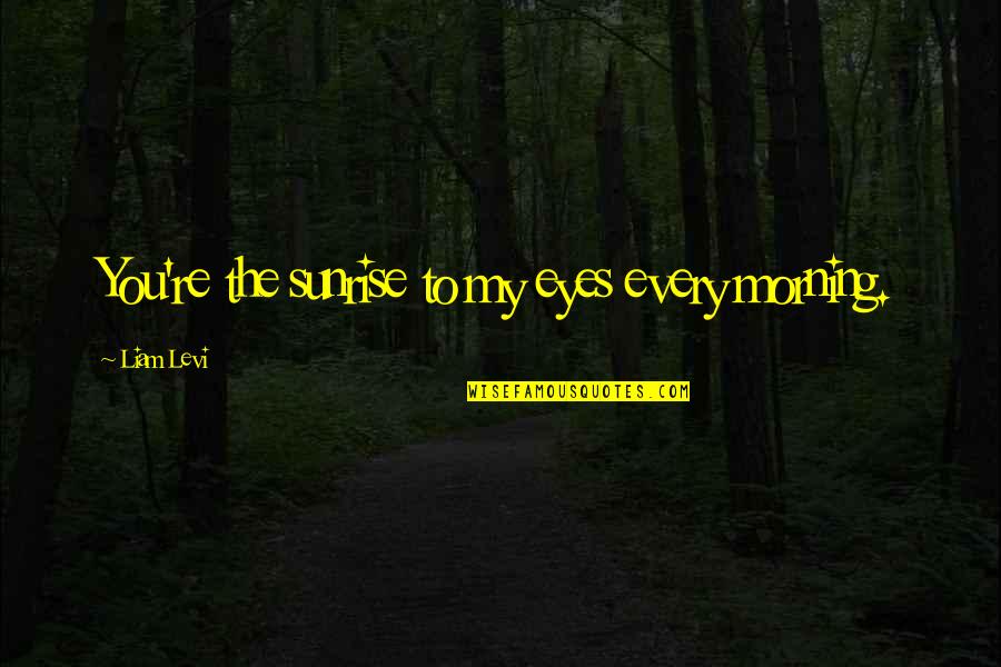 Gittinger Md Quotes By Liam Levi: You're the sunrise to my eyes every morning. Gittinger Md Quotes By Liam Levi: You're the sunrise to my eyes every morning.