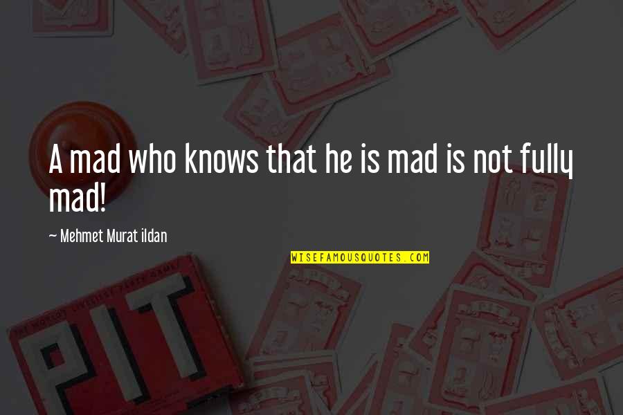 Giulia Luca Quotes By Mehmet Murat Ildan: A mad who knows that he is mad