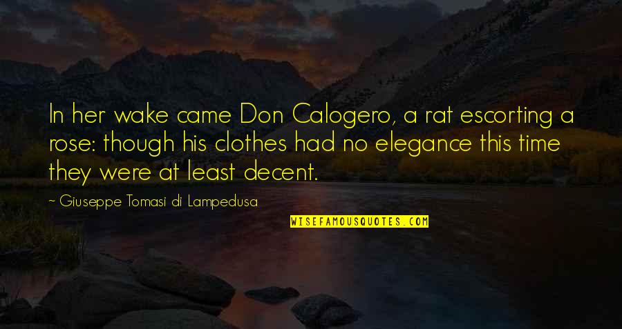 Giuseppe Di Lampedusa Quotes By Giuseppe Tomasi Di Lampedusa: In her wake came Don Calogero, a rat