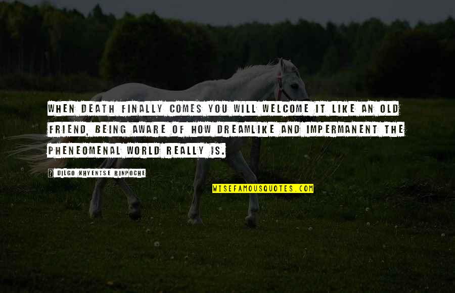 Giuseppe Luigi Lagrancia Quotes By Dilgo Khyentse Rinpoche: When death finally comes you will welcome it Giuseppe Luigi Lagrancia Quotes By Dilgo Khyentse Rinpoche: When death finally comes you will welcome it