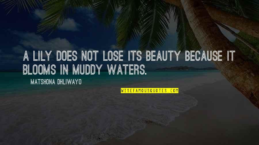 Giustamente Quotes By Matshona Dhliwayo: A lily does not lose its beauty because