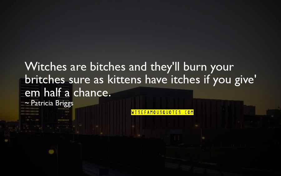 Give A Chance Quotes By Patricia Briggs: Witches are bitches and they'll burn your britches Give A Chance Quotes By Patricia Briggs: Witches are bitches and they'll burn your britches