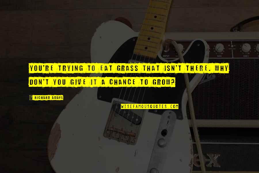 Give A Chance Quotes By Richard Adams: You're trying to eat grass that isn't there. Give A Chance Quotes By Richard Adams: You're trying to eat grass that isn't there.