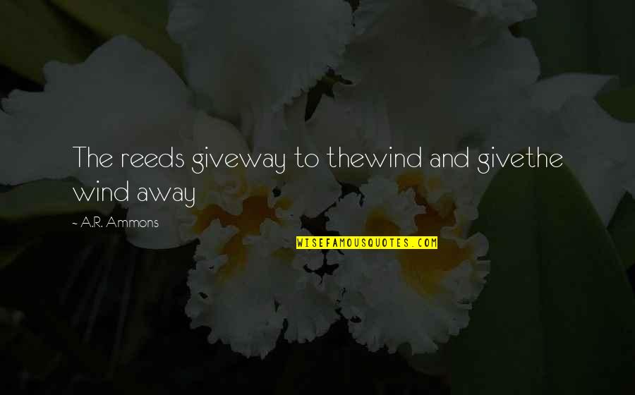 Give Away Quotes By A.R. Ammons: The reeds giveway to thewind and givethe wind