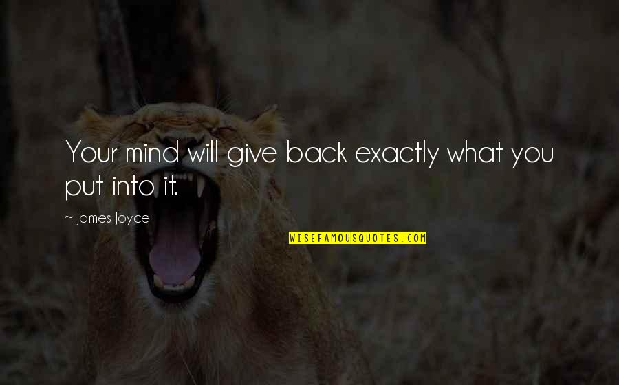 Give It Back Quotes By James Joyce: Your mind will give back exactly what you