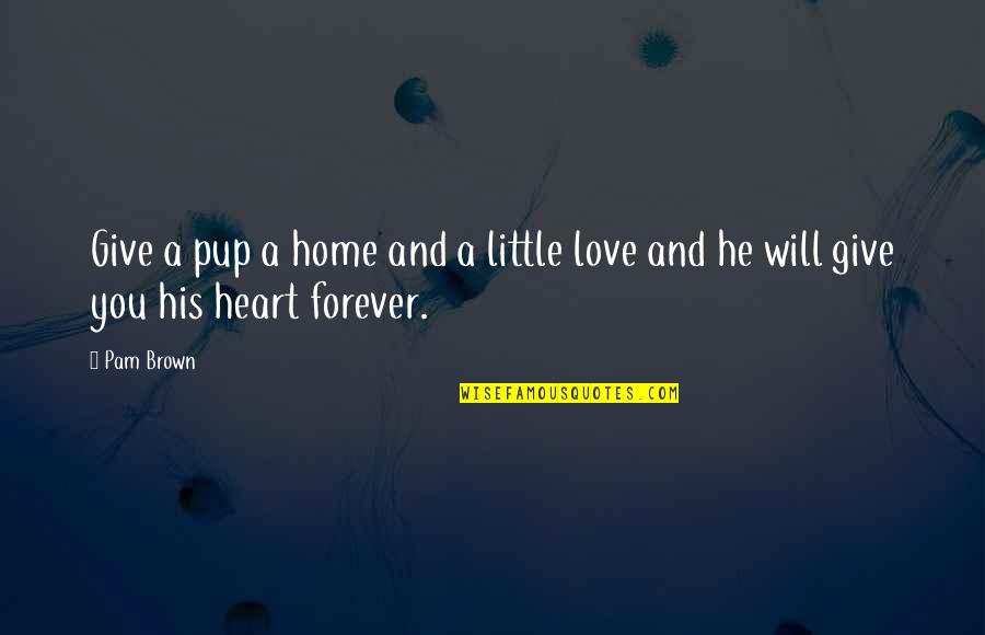 Give Love Quotes By Pam Brown: Give a pup a home and a little