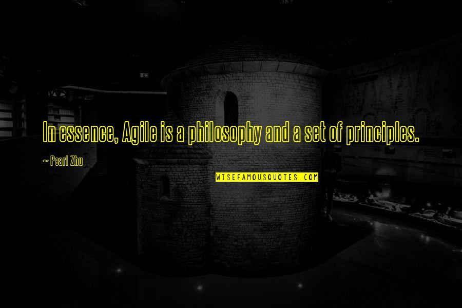 Give Me Sabr Quotes By Pearl Zhu: In essence, Agile is a philosophy and a