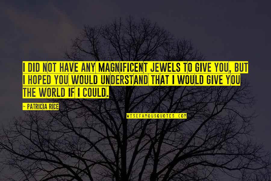 Give Not Quotes By Patricia Rice: I did not have any magnificent jewels to