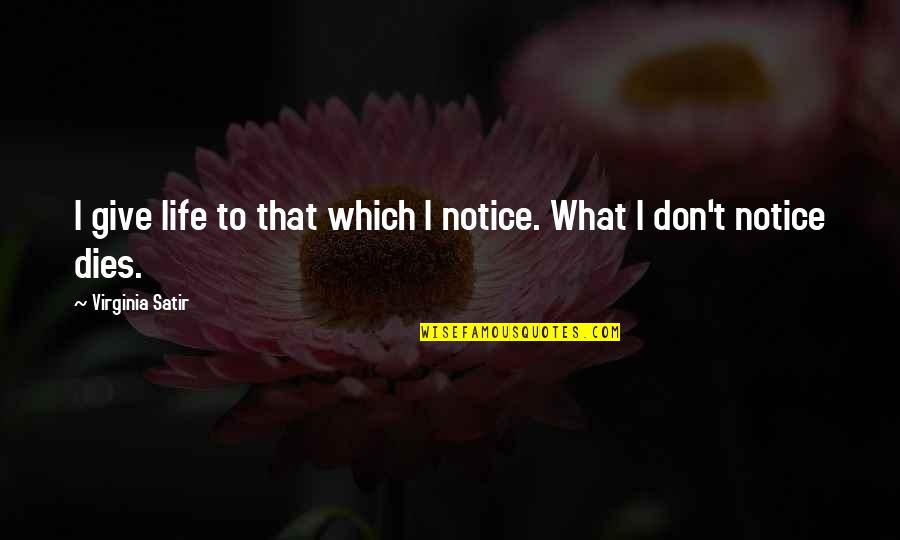 Give Notice Quotes By Virginia Satir: I give life to that which I notice. Give Notice Quotes By Virginia Satir: I give life to that which I notice.