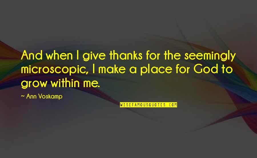 Give Thanks Quotes By Ann Voskamp: And when I give thanks for the seemingly