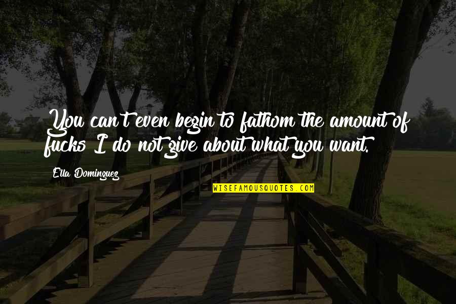 Give What You Can Quotes By Ella Dominguez: You can't even begin to fathom the amount