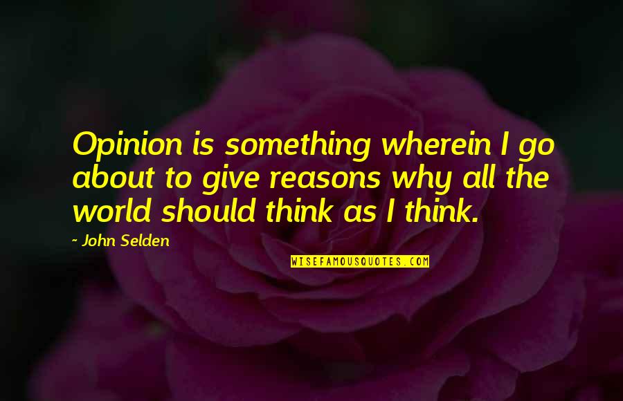 Give You Something To Think About Quotes By John Selden: Opinion is something wherein I go about to