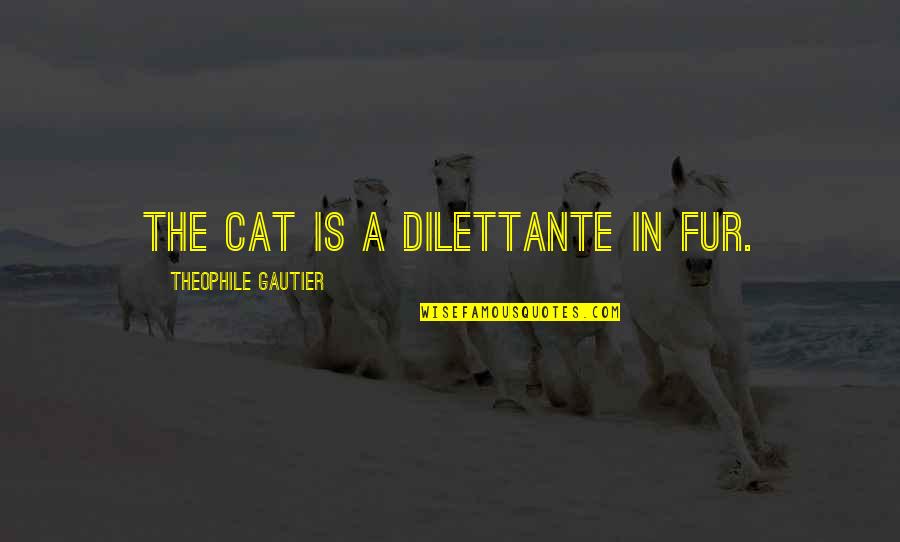 Given Circumstances Quotes By Theophile Gautier: The cat is a dilettante in fur.