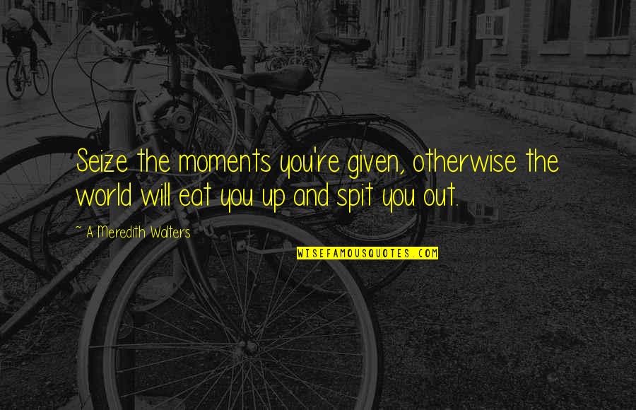 Given Up Quotes By A Meredith Walters: Seize the moments you're given, otherwise the world