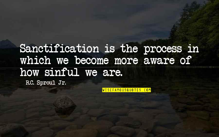 Givers And Takers Quotes By R.C. Sproul Jr.: Sanctification is the process in which we become