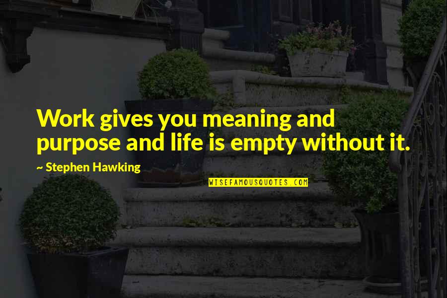 Gives Life Meaning Quotes By Stephen Hawking: Work gives you meaning and purpose and life
