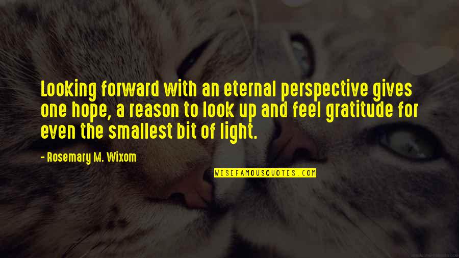 Gives Up Quotes By Rosemary M. Wixom: Looking forward with an eternal perspective gives one
