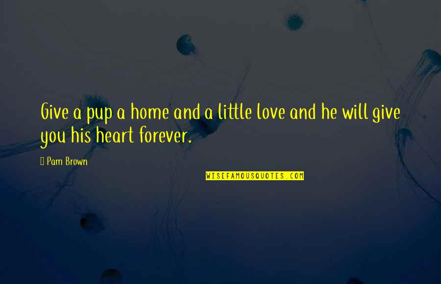 Giving From Heart Quotes By Pam Brown: Give a pup a home and a little