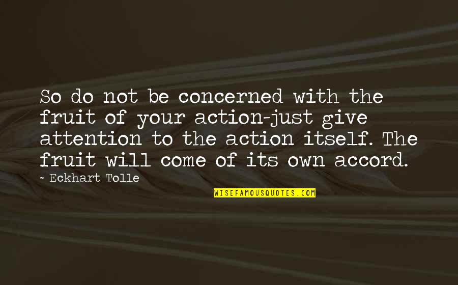 Giving Inspirational Quotes By Eckhart Tolle: So do not be concerned with the fruit