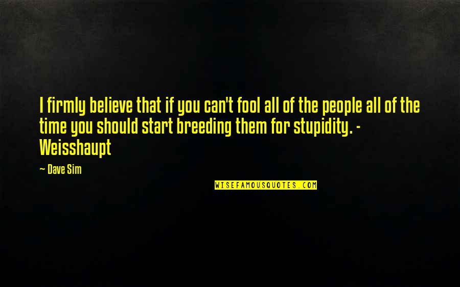Giving Others A Chance Quotes By Dave Sim: I firmly believe that if you can't fool