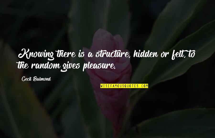 Giving Pleasure Quotes By Cecil Balmond: Knowing there is a structure, hidden or felt,