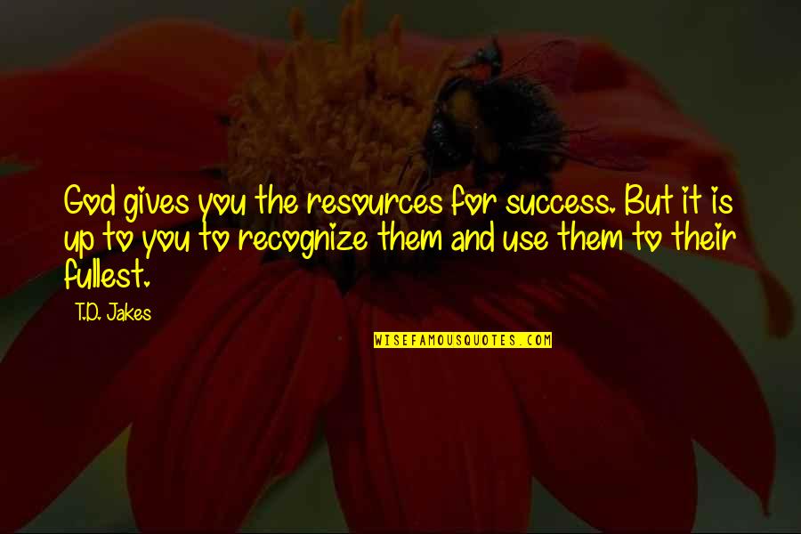 Giving To God Quotes By T.D. Jakes: God gives you the resources for success. But