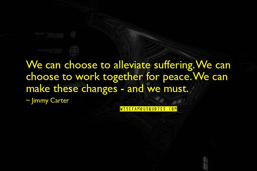 Giving Too Much Importance Quotes By Jimmy Carter: We can choose to alleviate suffering. We can