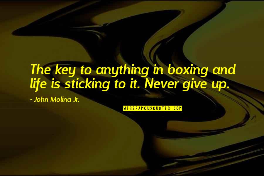 Giving Up Life Quotes By John Molina Jr.: The key to anything in boxing and life