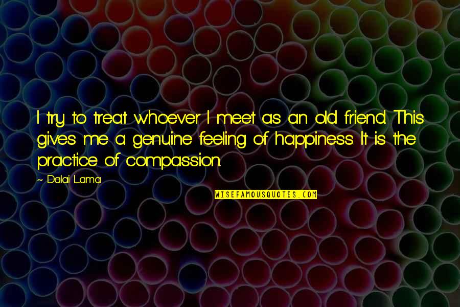 Giving Up On A Friend Quotes By Dalai Lama: I try to treat whoever I meet as