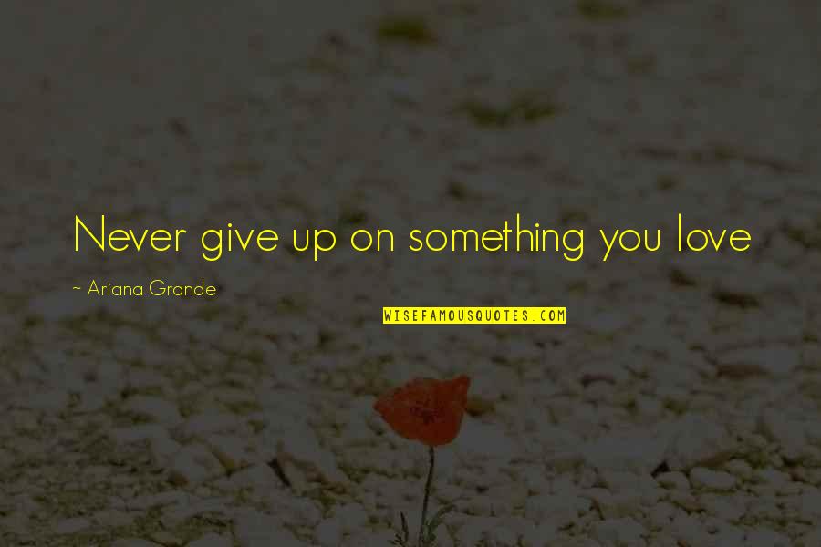 Giving Up Something You Love Quotes By Ariana Grande: Never give up on something you love