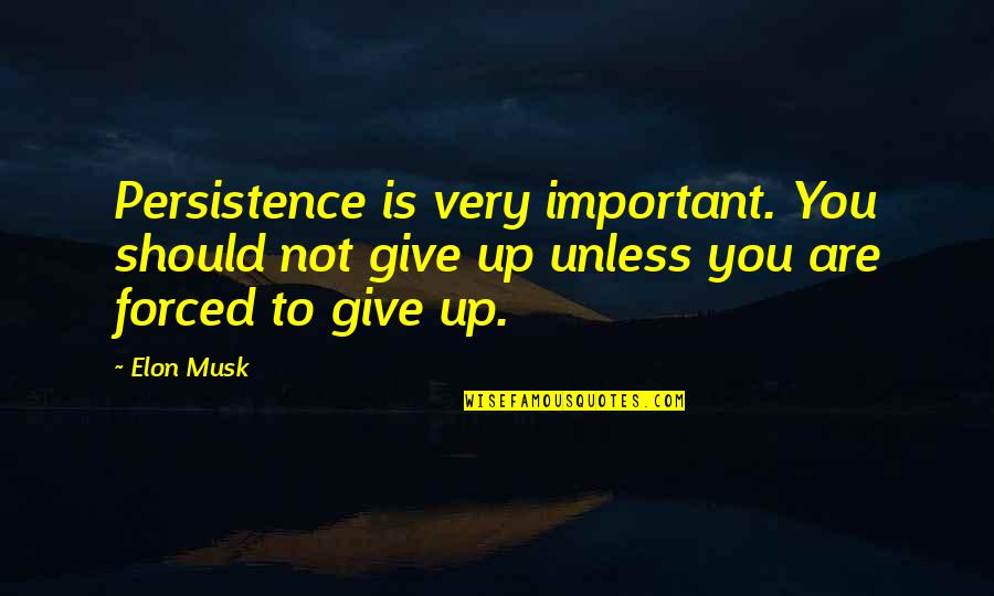 Giving Up To You Quotes By Elon Musk: Persistence is very important. You should not give